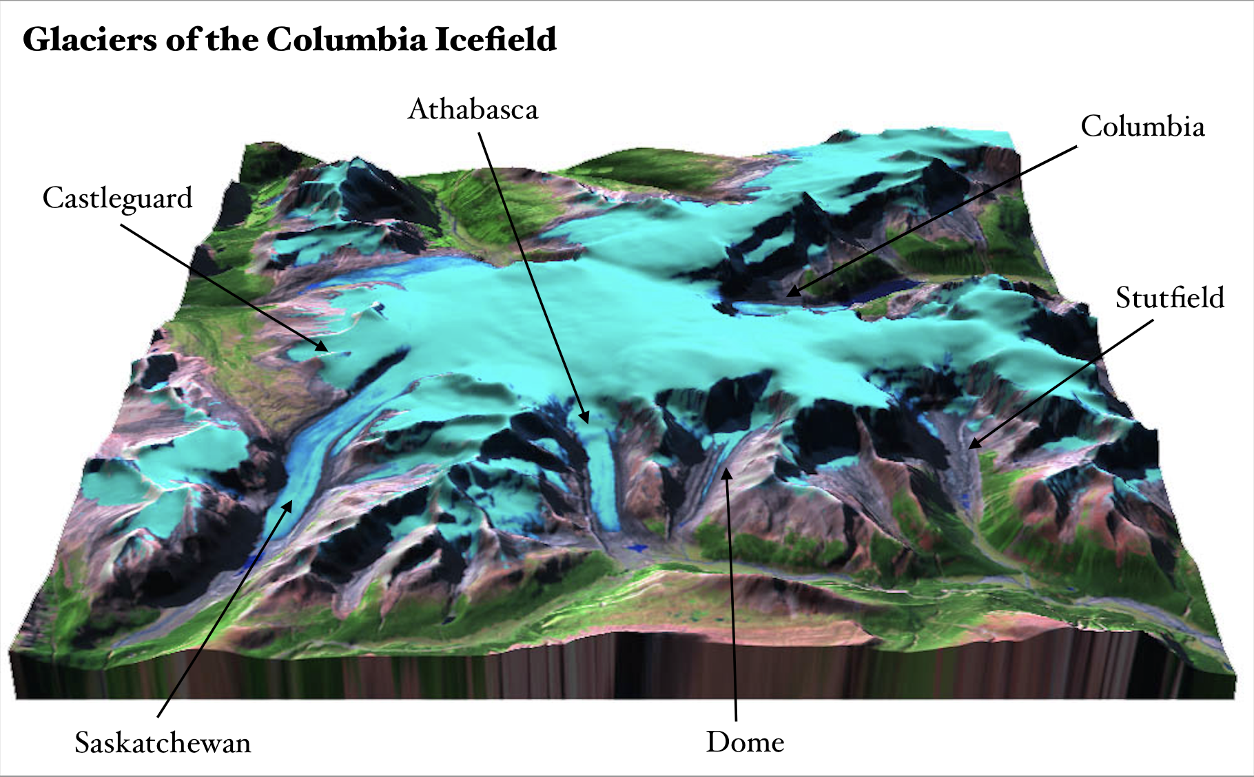 Glaciers in Canada — Canada IYGP
